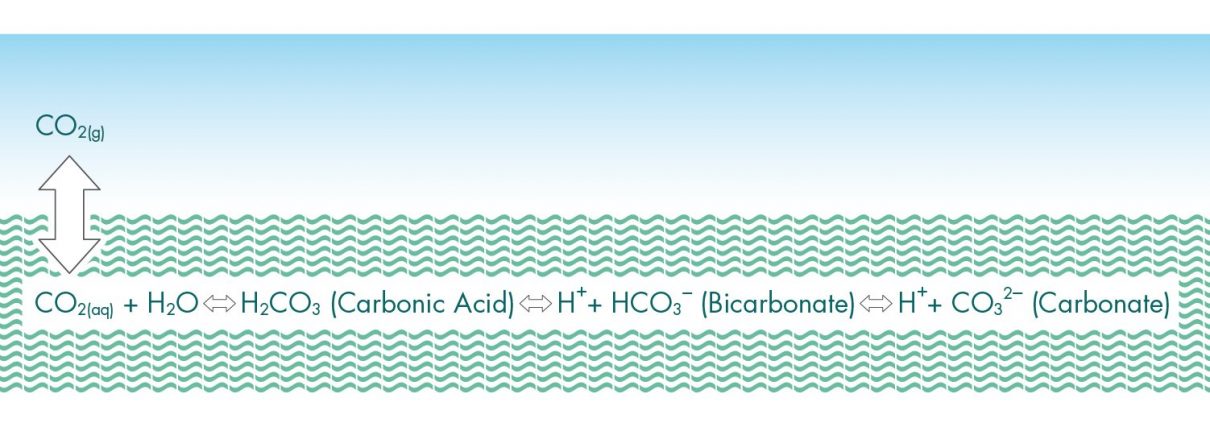carbonate-system